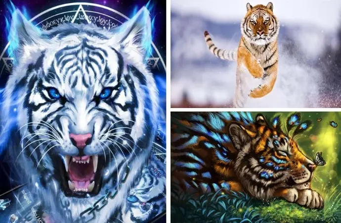 Khám phá ngay 50+ hình nền hổ cực chất đầy mạnh mẽ