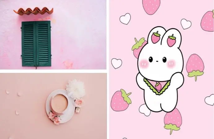 Khám phá ngay 70+ hình nền màu hồng mê hoặc mọi ánh nhìn