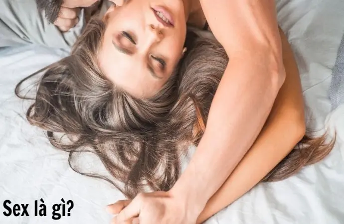 Sex là gì? Phân biệt các hình thức tình dục phổ biến