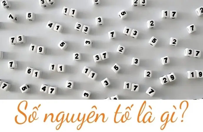 Số nguyên tố là gì? Cách nhận biết và ví dụ dễ hiểu