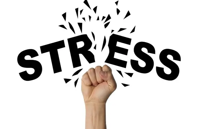 Hiểu đúng stress là gì để sống khỏe và hạnh phúc hơn