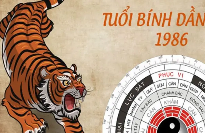 1986 mệnh gì? Nam nữ tuổi Bính Dần hợp tuổi nào?