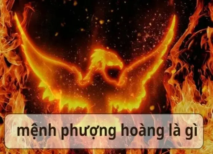Mệnh phượng hoàng là gì? Biểu tượng quyền lực bí ẩn
