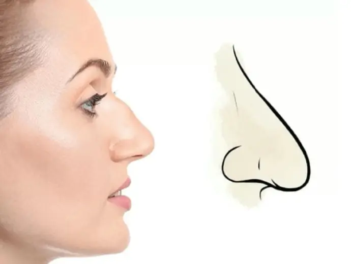 Mũi diều hâu hé lộ tính cách và vận mệnh như thế nào?