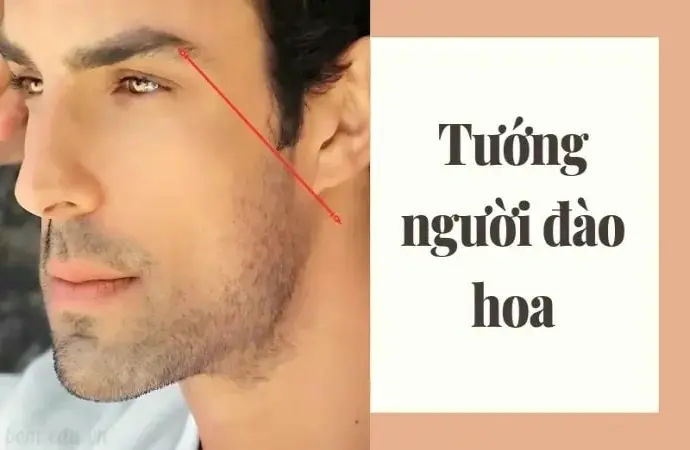 Hé lộ nhân tướng học tướng người đào hoa và số mệnh