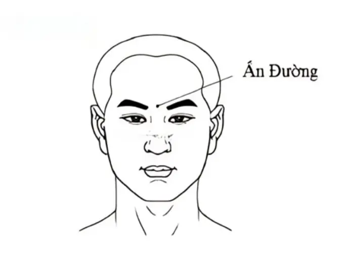 Tướng người sát thê trong nhân tướng học có ý nghĩa gì?