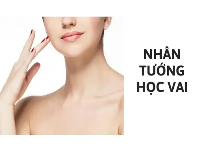 Nhân tướng học vai tiết lộ vận mệnh và tính cách con người