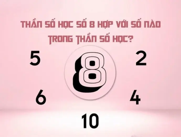 Giải mã số chủ đạo 8 hợp với số nào trong Thần số học