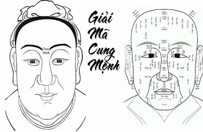 Tướng số vận mệnh và bí mật ẩn sau gương mặt con người