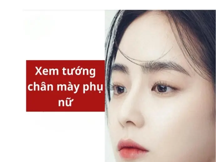 Xem tướng qua chân mày nữ tiết lộ vận mệnh và tính cách