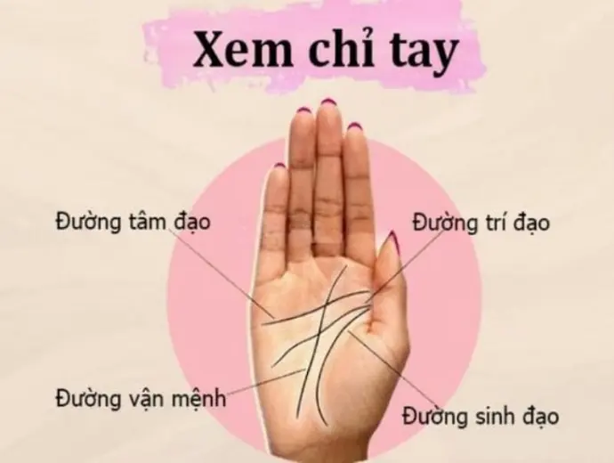 Xem tướng qua lòng bàn tay để luận đoán vận mệnh chuẩn
