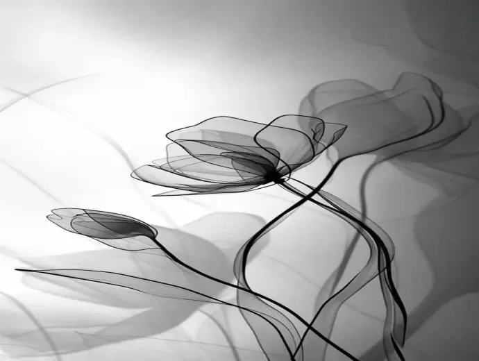 Bộ sưu tập ảnh avatar đen đẹp cá tính và ấn tượng nhất