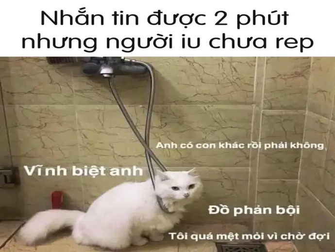 Bộ ảnh meme dỗi hài hước troll cực vui cho giới trẻ