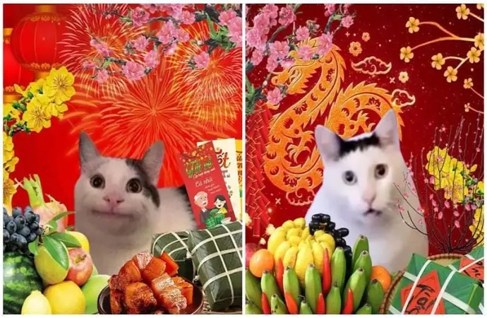 Tuyển chọn ảnh meme Tết vui nhộn hot trend cực hấp dẫn