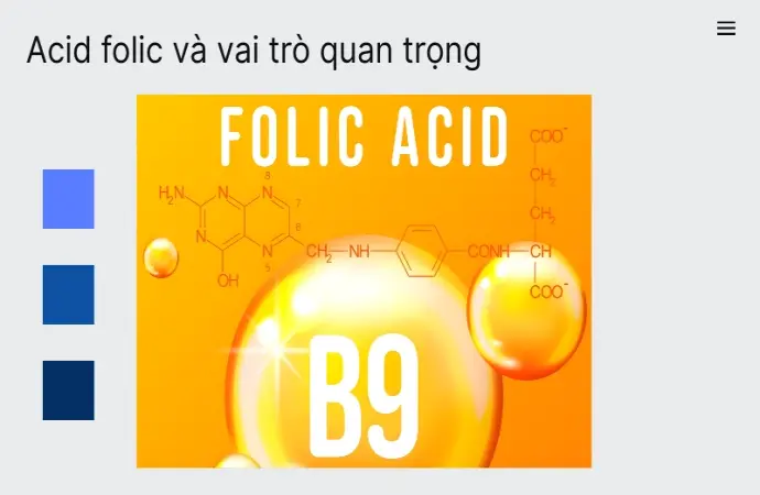 Acid folic – Chìa khóa quan trọng cho sức khỏe toàn diện
