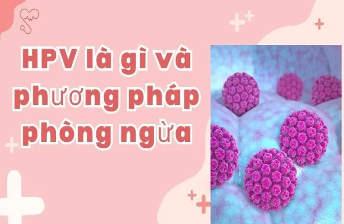 HPV là gì và phương pháp phòng ngừa hiệu quả từ sớm