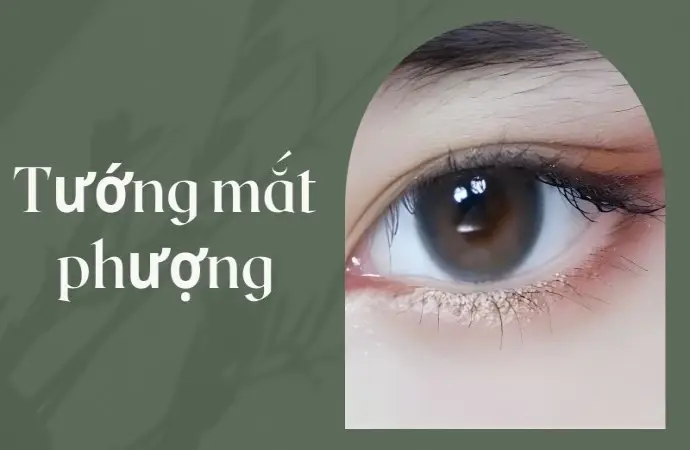 Tướng mắt phượng và bí mật đằng sau sự giàu sang phú quý