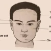 Giải mã tướng người khổ trước sướng sau: Dấu hiệu và con đường tới vinh quang