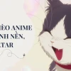 Khám phá hình nền máy tính mèo chibi cute siêu đáng yêu