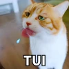 Khám phá Meme Khinh Bỉ: Biểu Cảm Thái Độ Độc Đáo