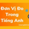 Khối lượng trong tiếng Anh là gì? Định nghĩa và các đơn vị liên quan