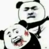 Mặt Gấu Meme: Khám phá bộ sưu tập biểu cảm độc đáo