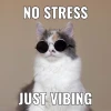 Meme là gì? Khám phá thế giới meme hài hước và sáng tạo