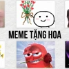 Ngắm ảnh meme tặng hoa hài hước và cute nhất 2026