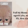 Tổng hợp Ảnh Meme Xin Lỗi Hài Hước Nhất 2026