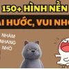 Tổng hợp hình nền meme hài hước cho máy tính và điện thoại