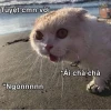 Tổng hợp meme thèm thuồng hài hước nhất 2026