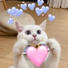 Tổng hợp Meme Tình Yêu Đáng Yêu Nhất