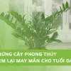 Tuổi Giáp Dần 1974: Chọn Cây Phong Thủy Nào Hợp Mệnh Rước Tài Lộc 2026