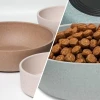 Best Sustainable Bamboo Pet Bowls for Dogs and Cats in 2026