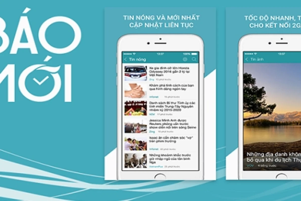 Cây Kim Giao Phong Thủy: Ý Nghĩa, Đặc Điểm Và Cách Chăm Sóc
