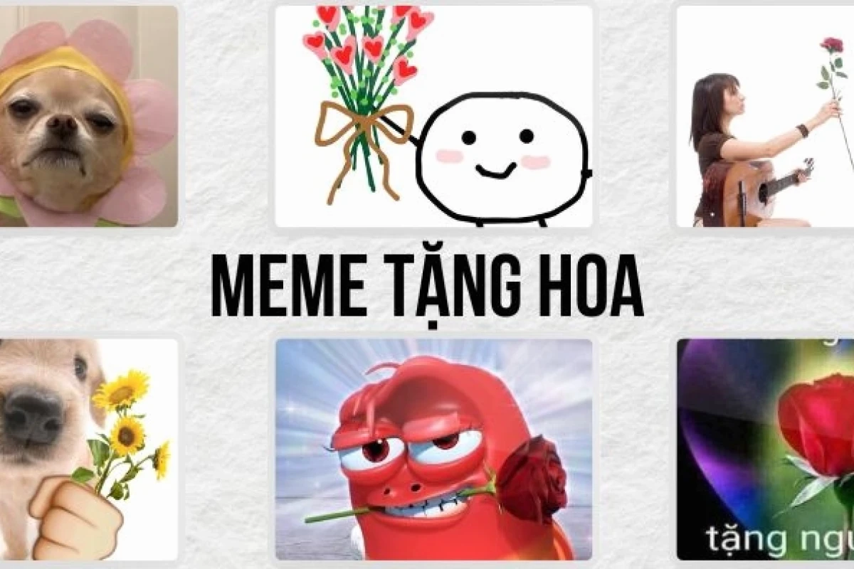 Ngắm ảnh meme tặng hoa hài hước và cute nhất 2026