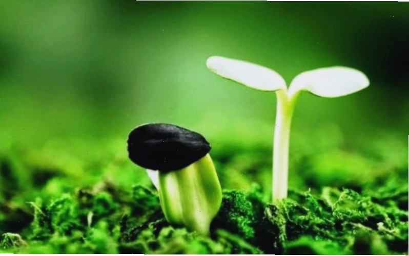 Ảnh đại diện nam với hiệu ứng ánh sáng độc đáo
