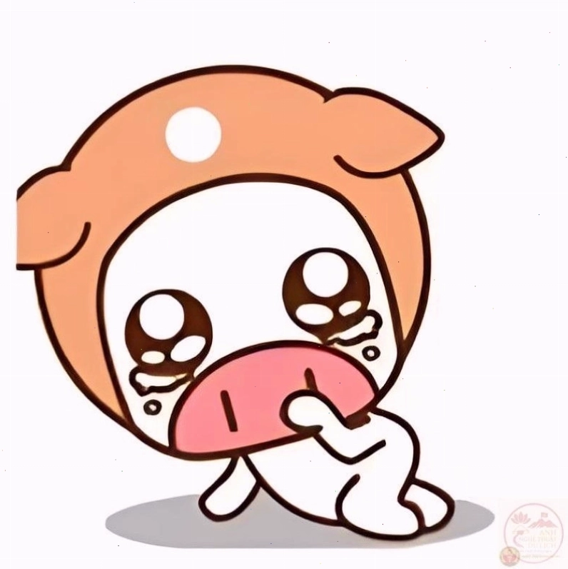 Ảnh meme cầu xin hài hước