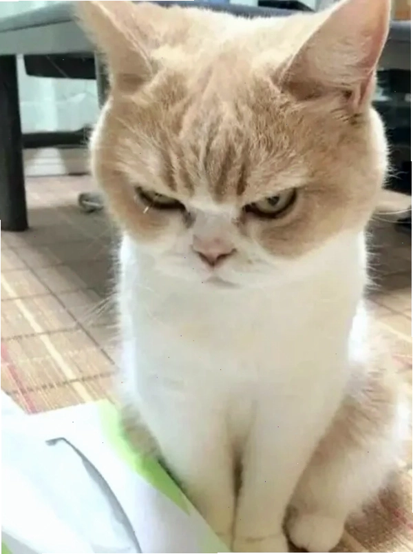 Ảnh meme dỗi với đôi mắt long lanh