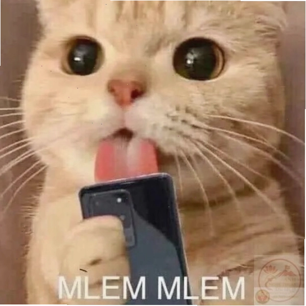 Ảnh meme liếm màn hình lầy bựa