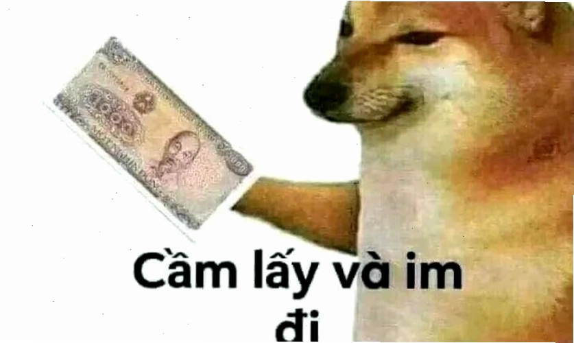 Ảnh meme mèo biểu cảm hài hước