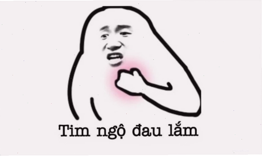 Ảnh meme mèo hài hước