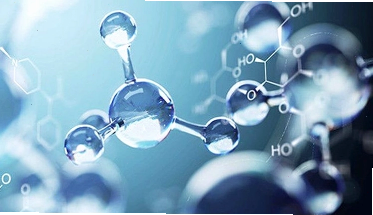 Astaxanthin có công dụng chống oxy hóa mạnh mẽ