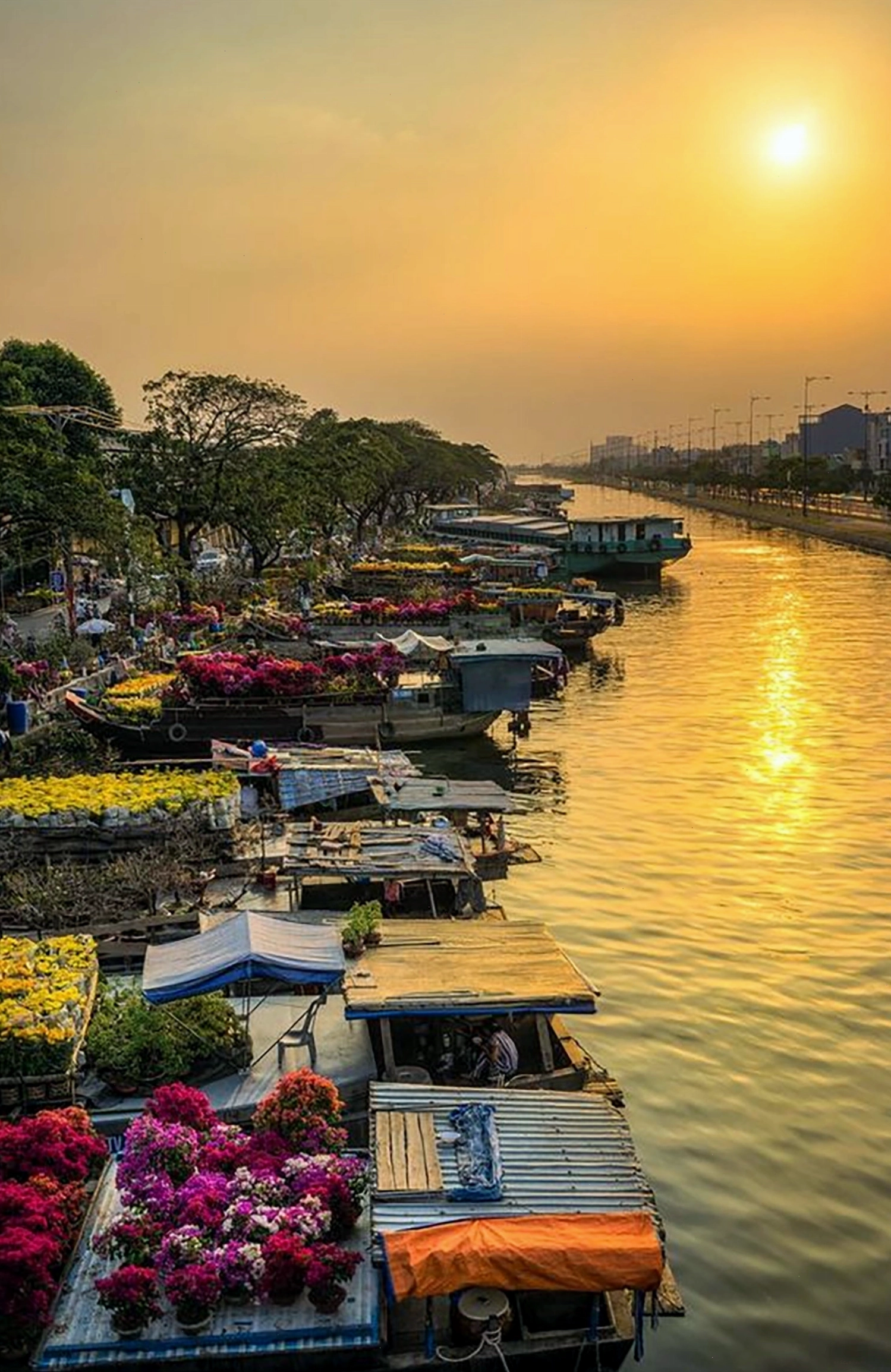 Avatar bầu trời với cảnh bình minh và dòng sông thơ mộng