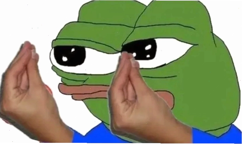 Avatar meme mèo biểu cảm hài hước nhìn thẳng