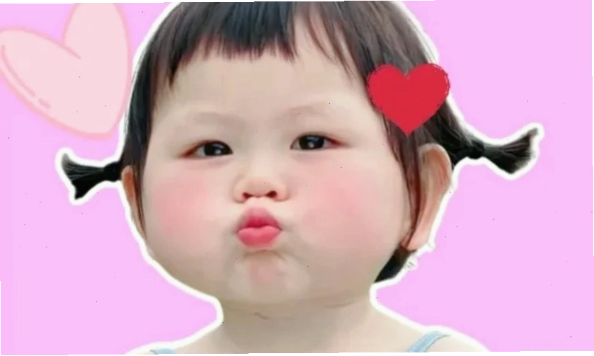 Avatar meme mèo cute
