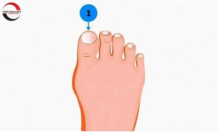 Bàn chân Hy Lạp cho thấy người có chí hướng và sự sáng tạo