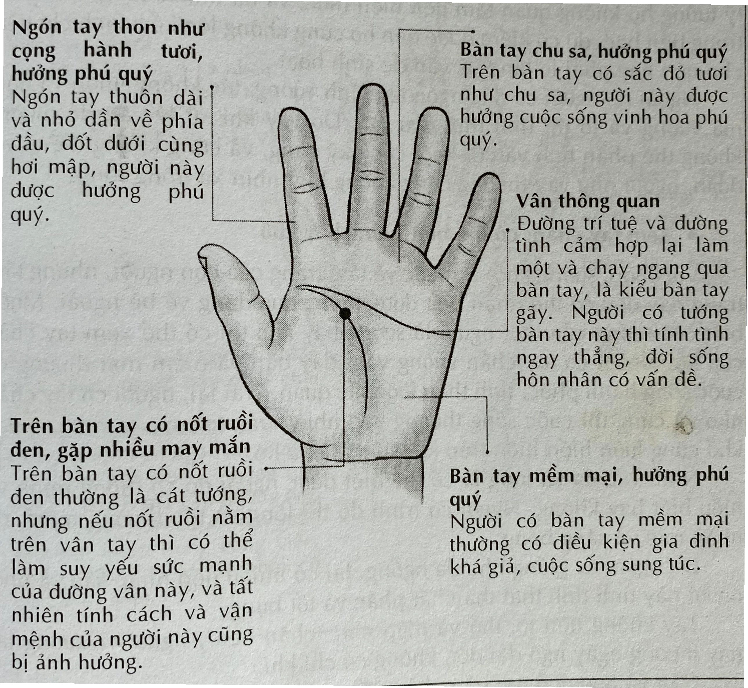 Bàn tay và cổ tay của một người được chăm sóc cẩn thận