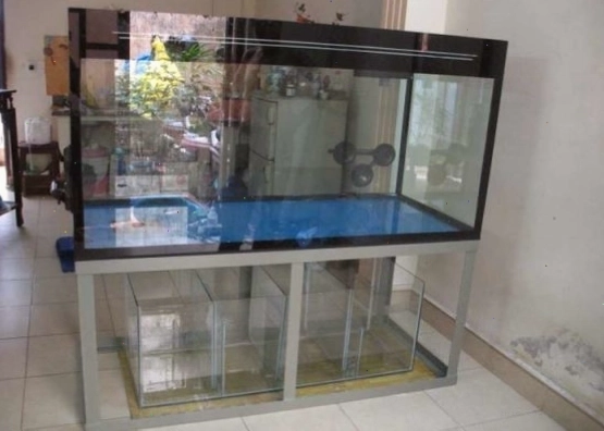 Bể cá hình vuông tượng trưng cho sự vững chãi, an lành