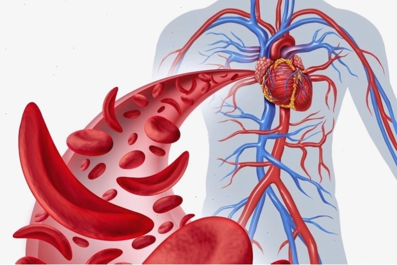 Biểu hiện của tình trạng viêm mô cơ